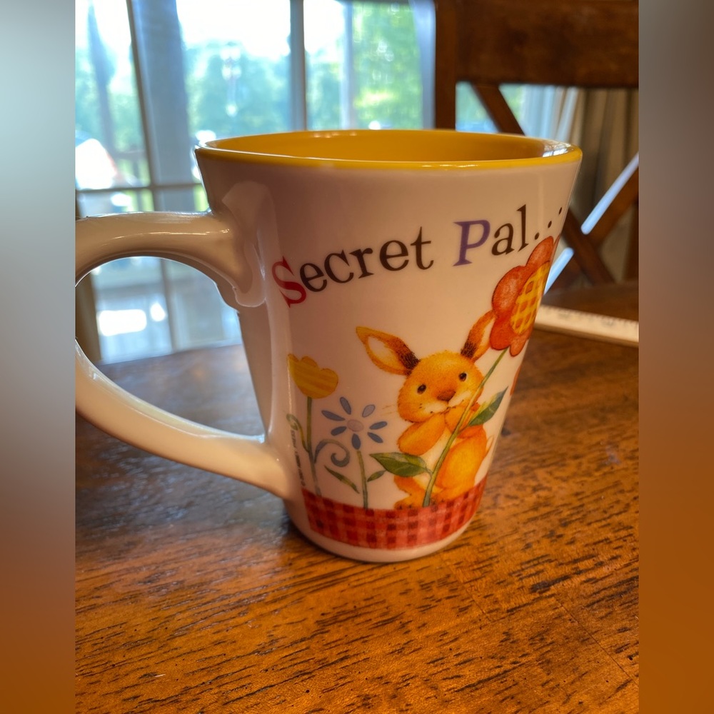 Abbey press secret pal mug